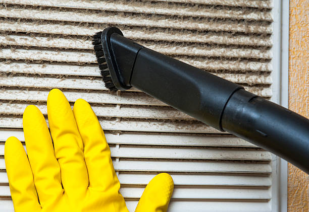 Air Duct Mold Removal in Wendover, UT